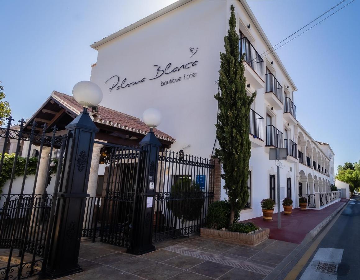 Paloma Blanca Boutique Hotel (Adults Only) Marbella Esterno foto